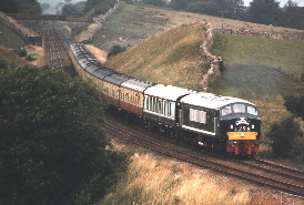 D172 at Birkett Common